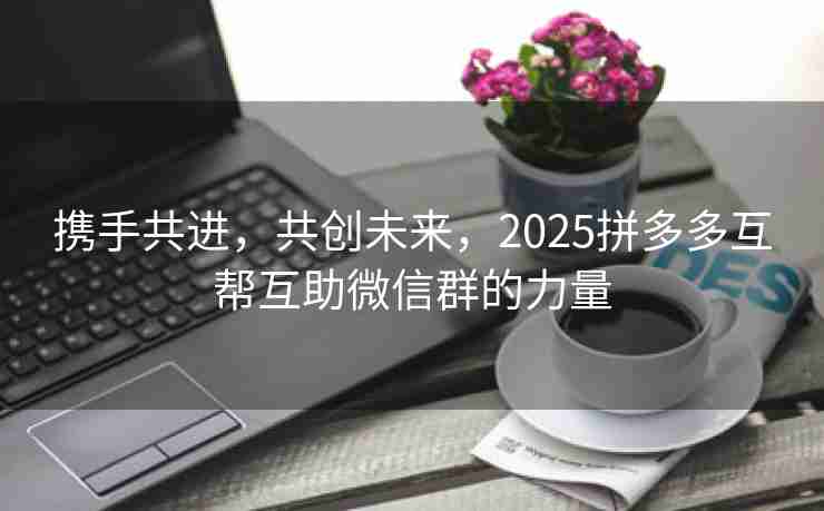 携手共进，共创未来，2025拼多多互帮互助微信群的力量