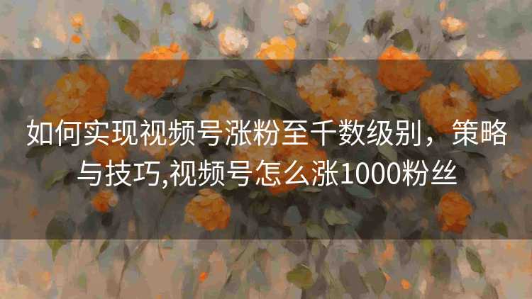 如何实现视频号涨粉至千数级别,策略与技巧,视频号怎么涨1000粉丝 如何实现视频号涨粉至千数级别,策略与技巧,视频号怎么涨1000粉丝