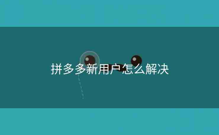 拼多多新用户怎么解决