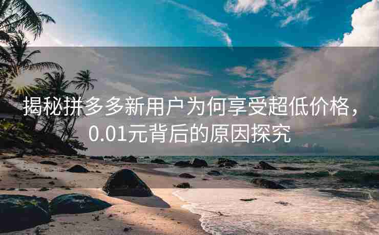 揭秘拼多多新用户为何享受超低价格，0.01元背后的原因探究