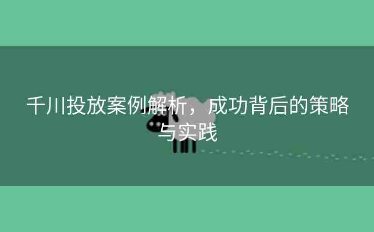 千川投放案例解析，成功背后的策略与实践