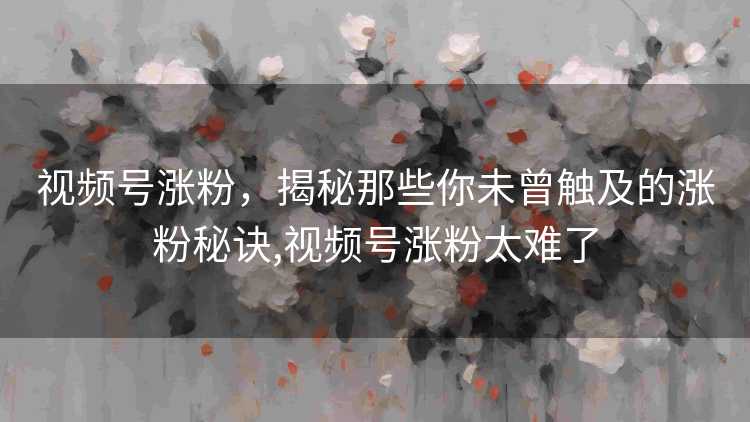 视频号涨粉,揭秘那些你未曾触及的涨粉秘诀,视频号涨粉太难了 视频号涨粉,揭秘那些你未曾触及的涨粉秘诀,视频号涨粉太难了
