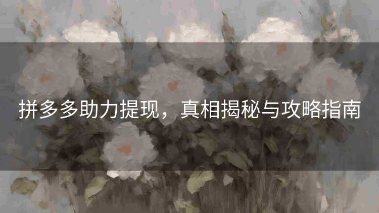 拼多多助力提现,真相揭秘与攻略指南 拼多多助力提现,真相揭秘与攻略指南