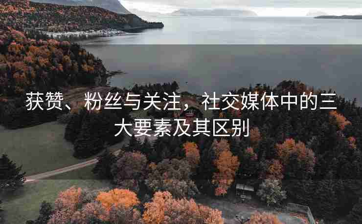 获赞、粉丝与关注，社交媒体中的三大要素及其区别