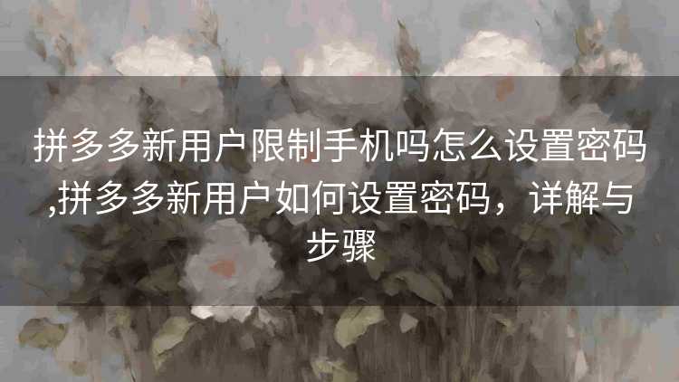 拼多多新用户限制手机吗怎么设置密码,拼多多新用户如何设置密码,详解与步骤 拼多多新用户限制手机吗怎么设置密码,拼多多新用户如何设置密码,详解与步骤