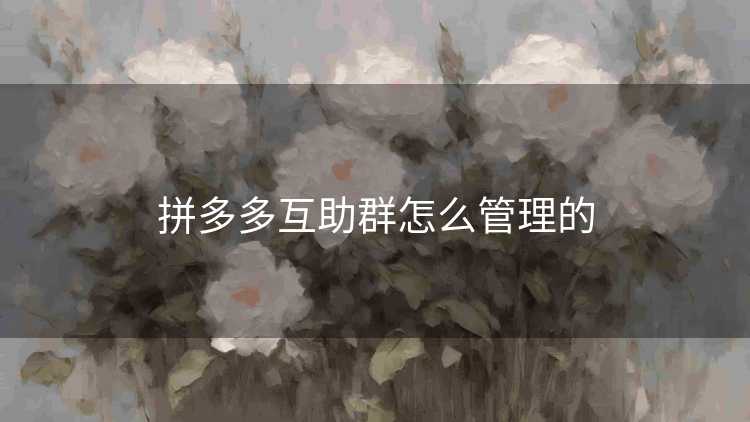 拼多多互助群怎么管理的 拼多多互助群怎么管理的