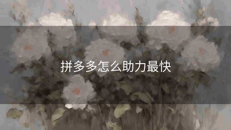 拼多多怎么助力最快