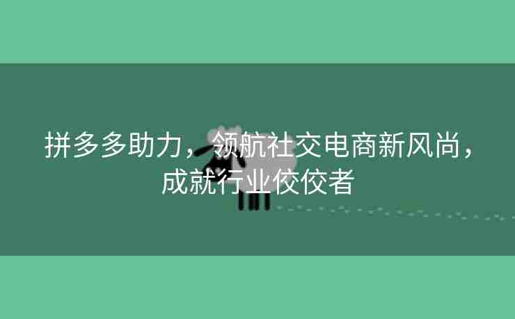 拼多多助力，领航社交电商新风尚，成就行业佼佼者