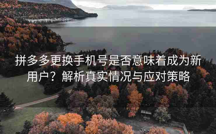 拼多多更换手机号是否意味着成为新用户？解析真实情况与应对策略