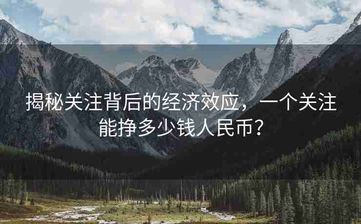 揭秘关注背后的经济效应，一个关注能挣多少钱人民币？