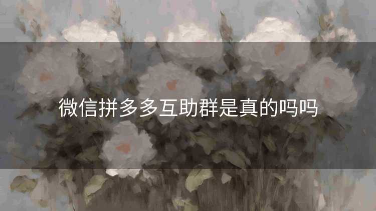 微信拼多多互助群是真的吗吗 微信拼多多互助群是真的吗吗