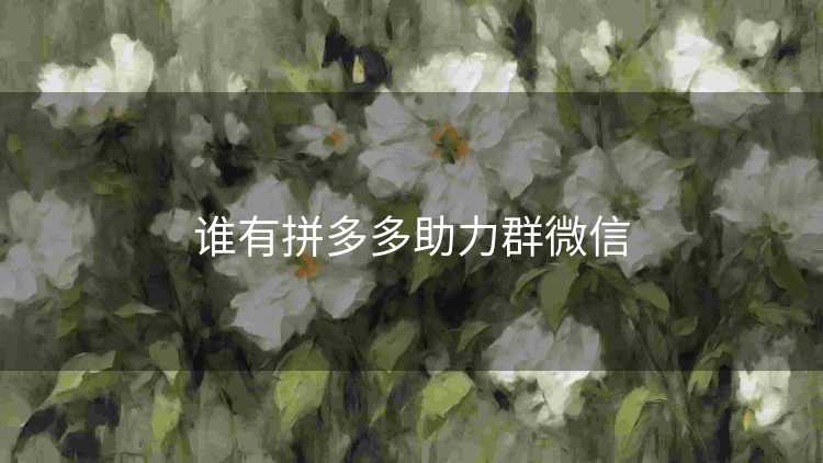 谁有拼多多助力群微信 谁有拼多多助力群微信