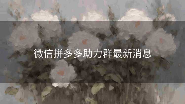 微信拼多多助力群最新消息 微信拼多多助力群最新消息