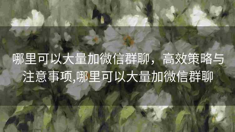 哪里可以大量加微信群聊,高效策略与注意事项,哪里可以大量加微信群聊 哪里可以大量加微信群聊,高效策略与注意事项,哪里可以大量加微信群聊