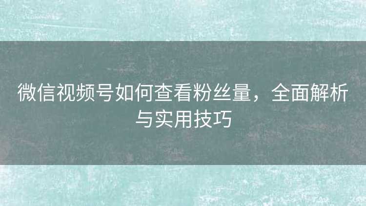 微信视频号如何查看粉丝量,全面解析与实用技巧 微信视频号如何查看粉丝量,全面解析与实用技巧