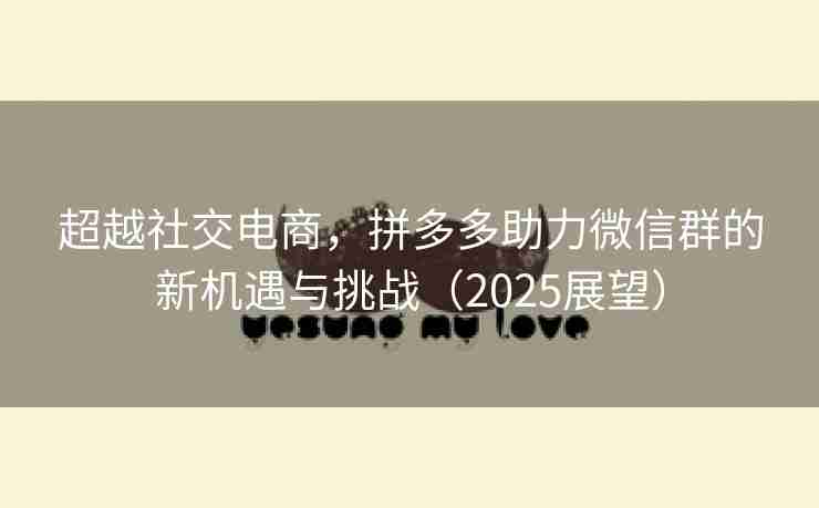 超越社交电商，拼多多助力微信群的新机遇与挑战（2025展望）