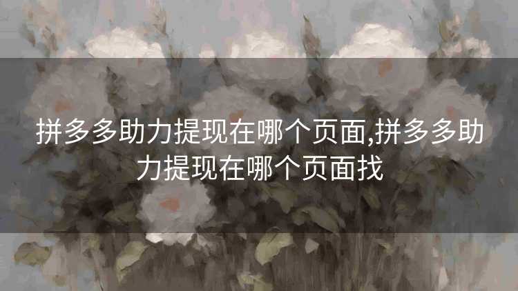 拼多多助力提现在哪个页面,拼多多助力提现在哪个页面找