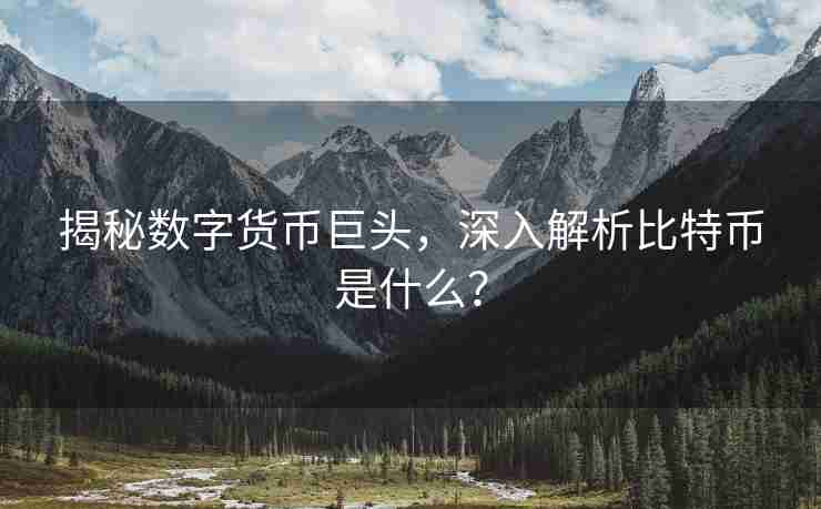 揭秘数字货币巨头，深入解析比特币是什么？