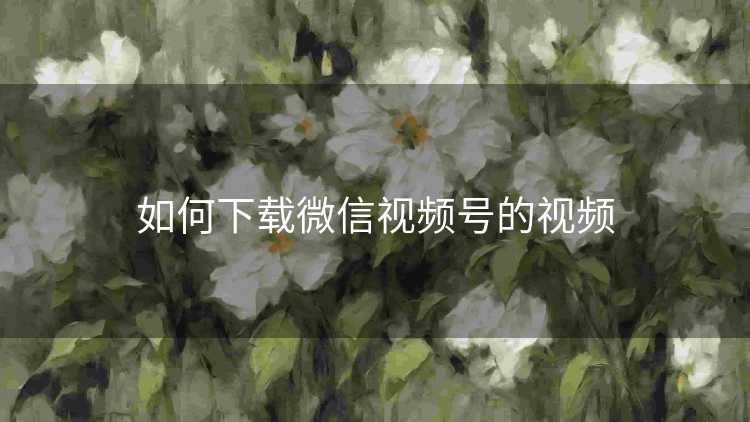 如何下载微信视频号的视频 如何下载微信视频号的视频
