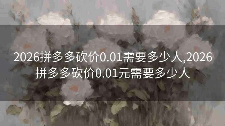 2026拼多多砍价0.01需要多少人,2026拼多多砍价0.01元需要多少人 2026拼多多砍价0.01需要多少人,2026拼多多砍价0.01元需要多少人
