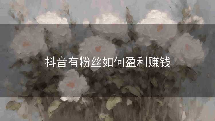 抖音有粉丝如何盈利赚钱 抖音有粉丝如何盈利赚钱