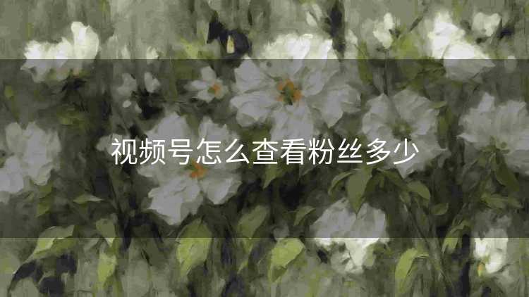 视频号怎么查看粉丝多少 视频号怎么查看粉丝多少
