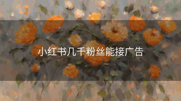 小红书几千粉丝能接广告 小红书几千粉丝能接广告