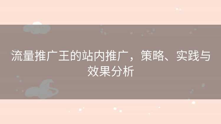 流量推广王的站内推广，策略、实践与效果分析