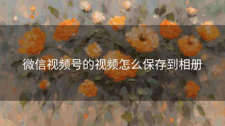微信视频号的视频怎么保存到相册 微信视频号的视频怎么保存到相册